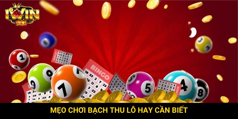 Mẹo chơi bạch thu lô hay cần biết