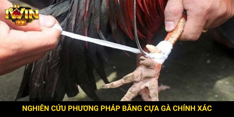 Nghiên cứu phương pháp băng cựa gà chính xác