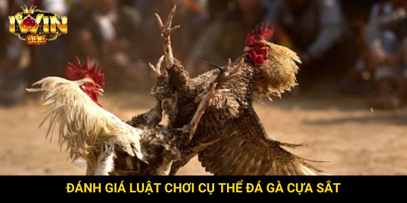 Đánh giá luật chơi cụ thể đá gà cựa sắt